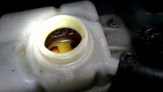 This is what happens if you put oil in Car Antifreeze