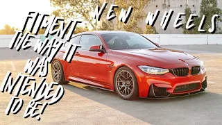 BMW M4 GETS NEW TRACK WHEEL SETUP!! ALL THE MEAT 🥩 Super Aggressive Track Fitment