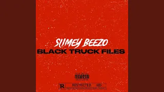 BLACK TRUCK FILES