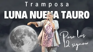 Luna tramposa🙃LUNA NUEVA🌗TAURO♉️Guia para los 12 signos 🌓