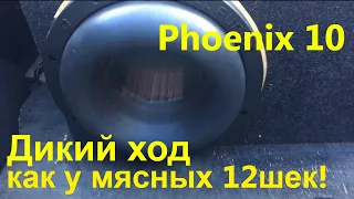 Компактный монстрик DL Audio Phoenix 10. Дал мощи и вывел на дикий ход. Сколько получится напилить?