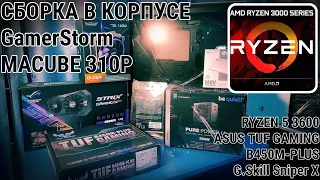 Дело №09022020ЕМ: Ryzen 5 3600 + Asus TUF GAMING B450M-Plus + G.Skill Sniper X 3200 32Gb