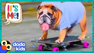 Dog Who Can Skateboard Wants To Tell You All About It | It's Me! | Dodo Kids