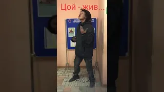 Бомжи рок