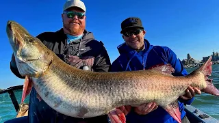 The Biggest Muskie Ever Caught on Lake Erie???