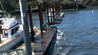 Another Tsunami  Surge Depoe Bay Oregon 3-11-11 By C/V Mariner