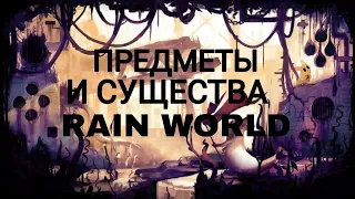 Гайд по Rain World - Нейтральные и мирные существа, предметы