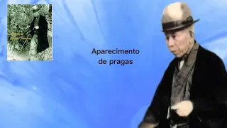 Aparecimento de pragas