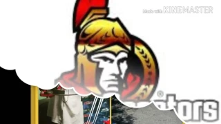 Ottawa senators 2016-17 tribute