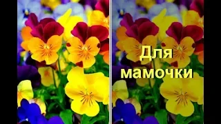 Слайд-шоу Для мамочки (Лепестки роз)