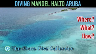 Diving Mangel Halto, Aruba | The Shore Dive Collection | TropicLens