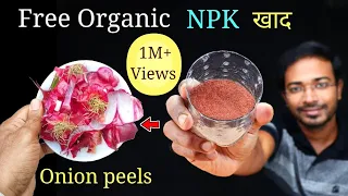 How to EASILY make Onion peel fertilizer in THREE different ways