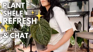 Spring plant shelf refresh & mental reset 🖤 chatty plant chores