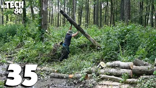 Manual Removal Of A Beaver-fallen Tree And A Gale-felled Tree - Clearing The Stream No.35