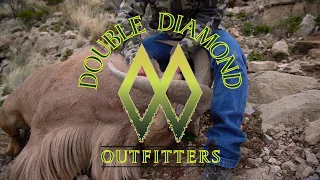 Double Diamond Outfitters & Huntin' Fool Free Range Aoudad Hunt