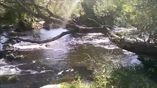 ведьмы и колдуны в церкви, порча, знахарь