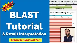 What is BLAST? - Tutorial & Interpretation