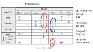 Palatalization in English