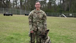 Day In The Life of a 31K Military Working Dog Handler