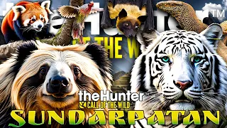 Will Sundarpatan Have WHITE TIGERS?! Sloth Bears? Blue Sheep? BLOOD PHEASANTS?? | Call of the Wild