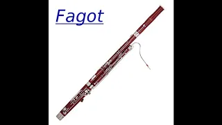 GG Muzicki instrumenti