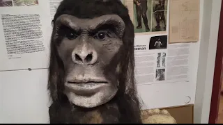 Bigfoot Discovery Museum Felton, California. February 28th 2020