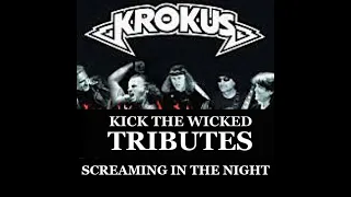 Wicked Tributes -  TRIBUTE to KROKUS - Screaming in the Night