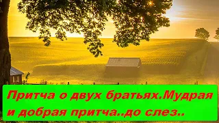 ПРИТЧА О ДВУХ БРАТЬЯХ.Мудрая,из жизни притча.Доброта до слез..Жизнь во Франции