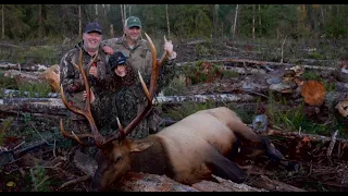 Roosevelt Elk Hunt 2023 Vancouver Island, Teen Huntress Bullseye!