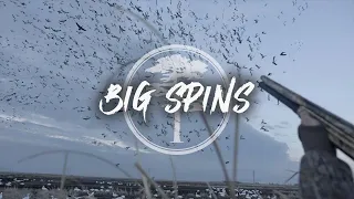 Snow Goose Hunting- BIG SPINS on a FEED
