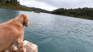 Construimos una balsa como la de los mayas !