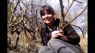 Building a Natural Fence from Branches, Logs and Twigs