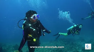 Diving in Maafushi with Eco Dive Club, Maafushi, Maldives.