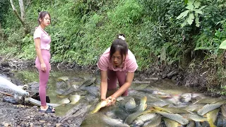 Amazing fishing - Modern fishing technology - Use large capacity pump harvest fish in the wild lake