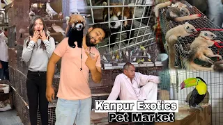 Exotic Pet Market In Kanpur 😍 Humne kya Le Liya  || ऐसे शानदार जानवर नहीं देखे होंगे कभी || Pet Vlog