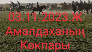 Амалдаханың Кокпары 3.ноября. 2023 г.Көкпар Kokpat. Kupkari.