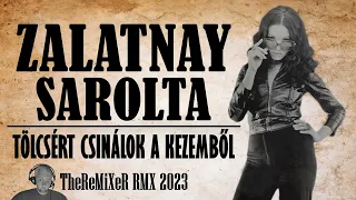 ZALATNAY SAROLTA - TÖLCSÉRT CSINÁLOK A KEZEMBŐL 2023 (TheReMiXeR RMX)