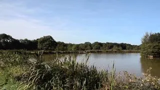 HIGHAMPTON LAKE, HIGHAMPTON, HOLSWORTHY, DEVON