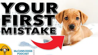 Common Mistakes That New Dog Owners Make