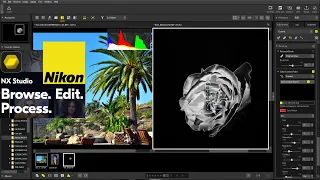 📌NIKON NX Studio HONEST Review & Full Tutorial For Beginners [IMPORT, LOCAL ADJUSTMENTS TO EXPORT ]📌