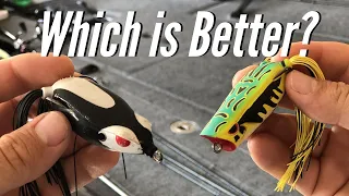 Best Frog For Bass Fishing? (Frogs And Colors Explained)