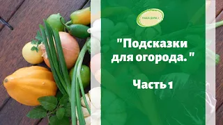 Огородные подсказки по рассаде, овощам, зелени. Лайфхаки. Валентина Луппа. Часть 1