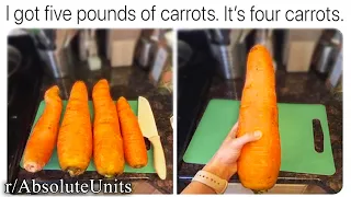 ALL OF R/ABSOLUTEUNITS