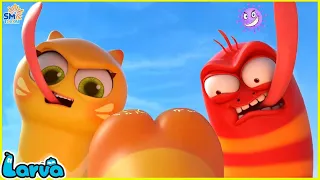 LARVA SEASON 3 EPISODE 276~ 377🍟 NEST VERSION LARVA 2024 | COMICS | MINI SERIES FROM ANIMATION LARVA