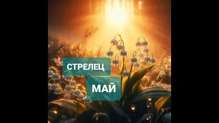 ♐ СТРЕЛЕЦ 🌷 ПРОГНОЗ на МАЙ 2024 года