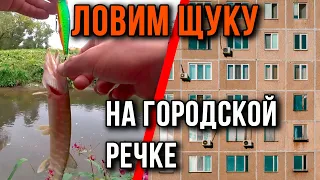 Щука на малых реках, на твич и джиг.