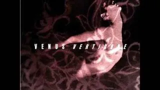 venus-beautiful day