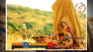 Da Ghama Daka tola shpa wa pa zrha Me bala sra lamba wa | Pashto sad tappy | New poshto Tappay