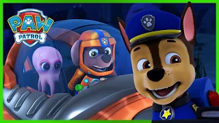 Pieski ratują psotną ośmiornicę - Psi Patrol PAW Patrol po polsku - Pup Tales