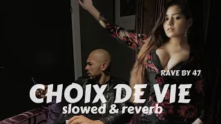 Choix de vie (slowed & reverb) Randall x Anas (Visualized)